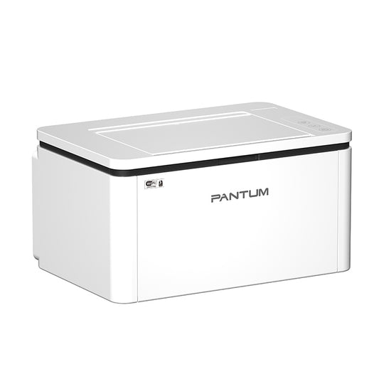 PANTUM BP2300NW